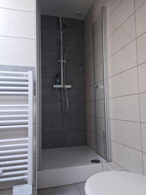 Appartement Sierentz Εξωτερικό φωτογραφία